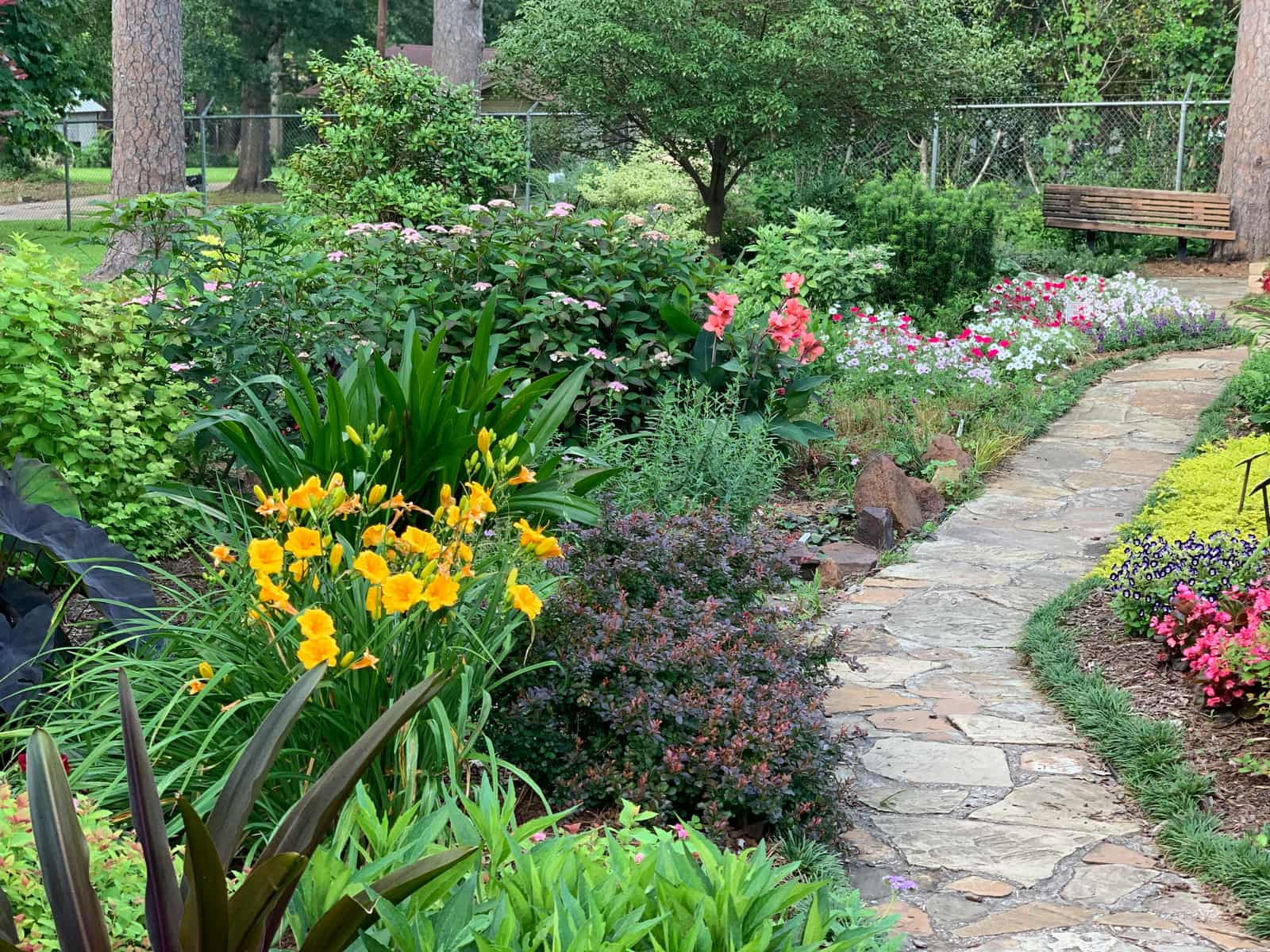 A flagstone path winding through a lush, well-established cottage garden border