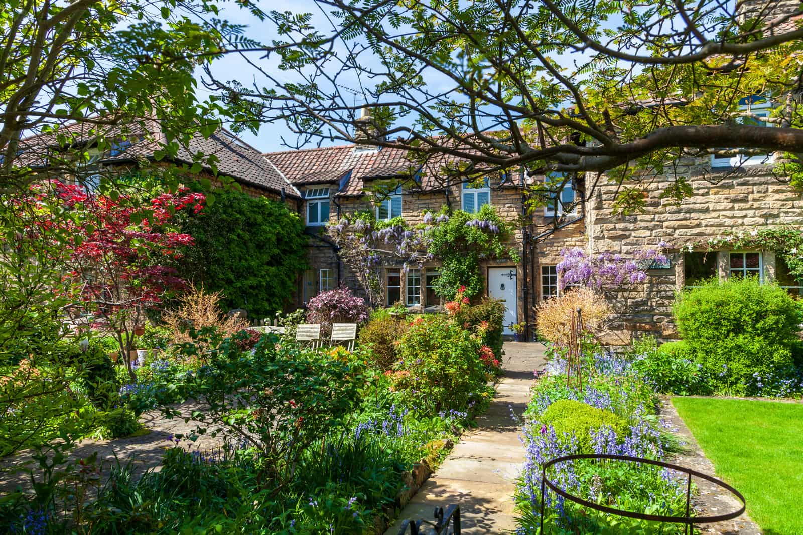 A stone cottage with purple wisteria climbing the walls, framed by dense, informal flower borders and a stone path